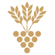 BWV RHEMO Steuerberatung GmbH Logo