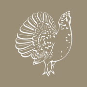 Forsthaus Auerhahn GmbH Logo