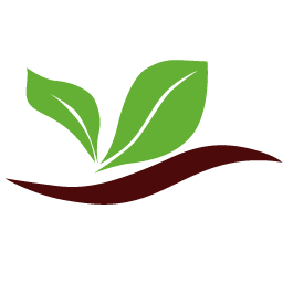 Fleischer GmbH & Co. KG Logo