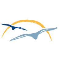 Klinik Schwedeneck GmbH & Co. Betriebs KG Logo