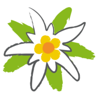 Klinik Alpenhof GmbH & Co. Betriebs KG Logo
