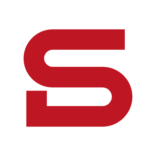 dataschalt engineering GmbH Logo