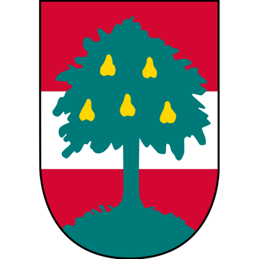 Dornbirner Sport- und Freizeitbetriebe GmbH Logo