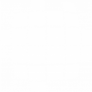 DMS Daten Management Service GmbH Logo