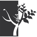 Bewährungs- und Straffälligen hilfe Thüringen e.V. Logo