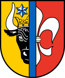Blumenstadt Tessin Logo