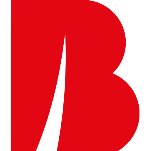 Bernard Gruppe ZT GmbH Logo
