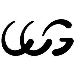 SIN Logo