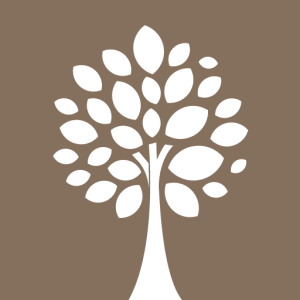 Platanus Bildungs gGmbH Logo