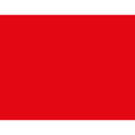 THOST Projektmanagement GmbH Logo