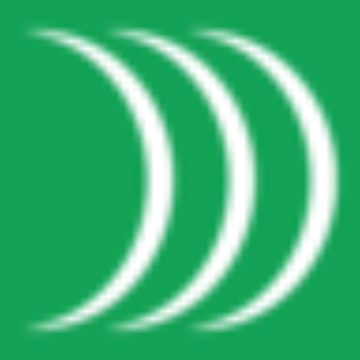 Hensoldt Logo