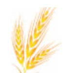 Bäckerei Ritter Lackner GmbH Logo