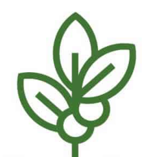 Mohammed Chahrour Logo