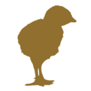 Putenzucht Miko GmbH Logo