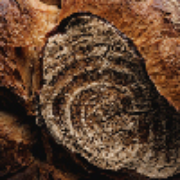 Bäckerei Öfferl GmbH Logo
