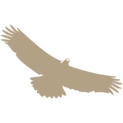 Tirol Logo